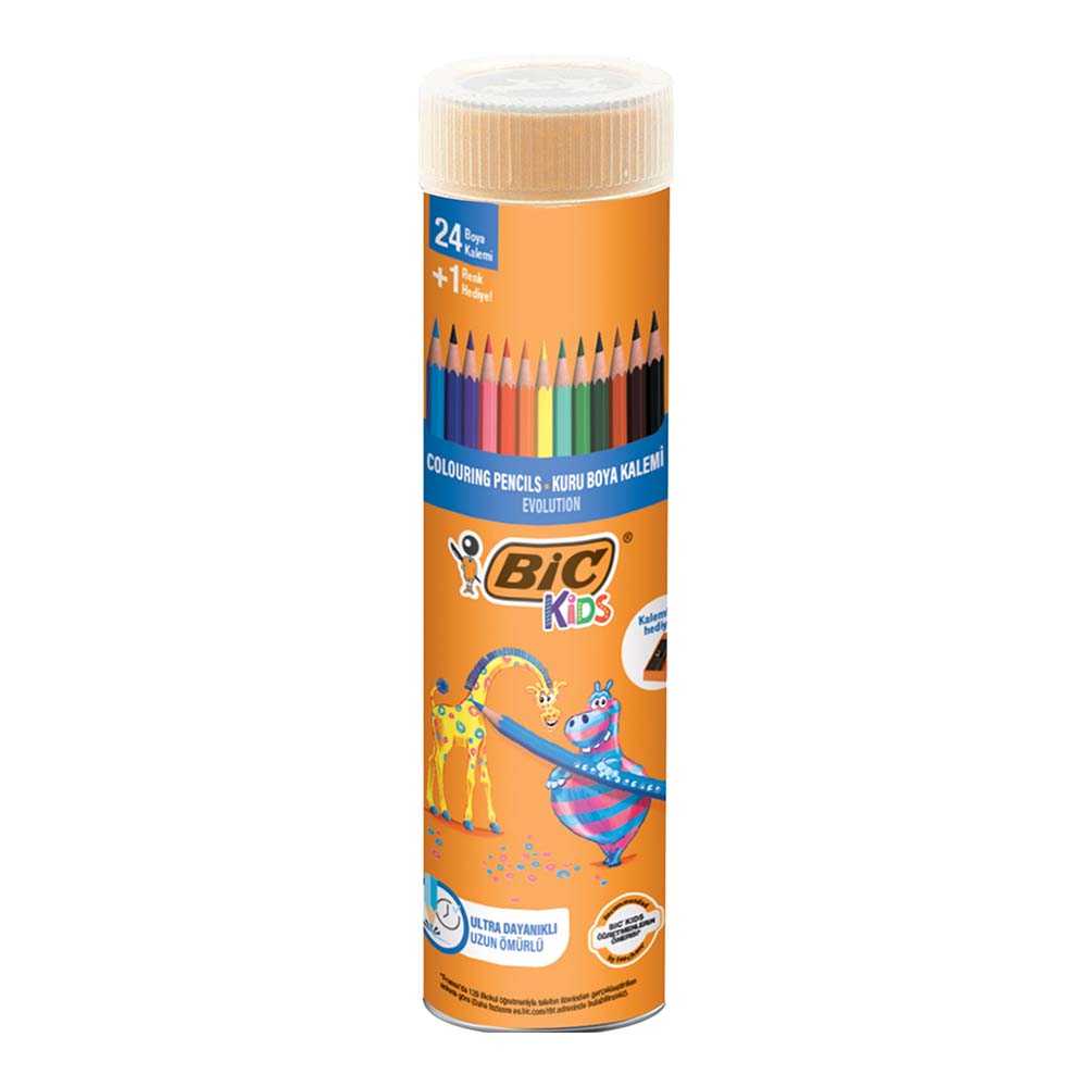 BİC EVOLUTİON KURUBOYA KALEMİ 24LÜ TÜP 958190