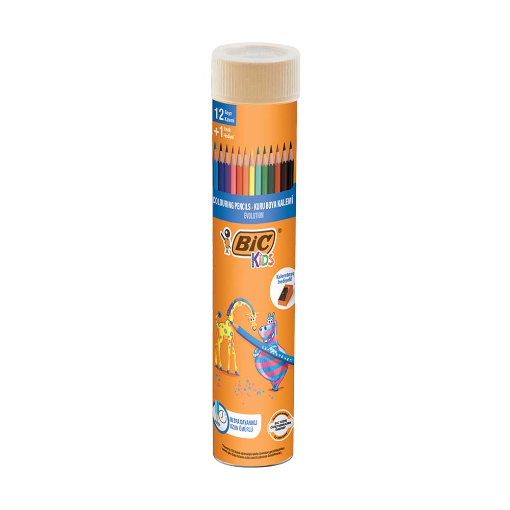 BİC EVOLUTİON KURUBOYA KALEMİ 12Lİ TÜP 958191