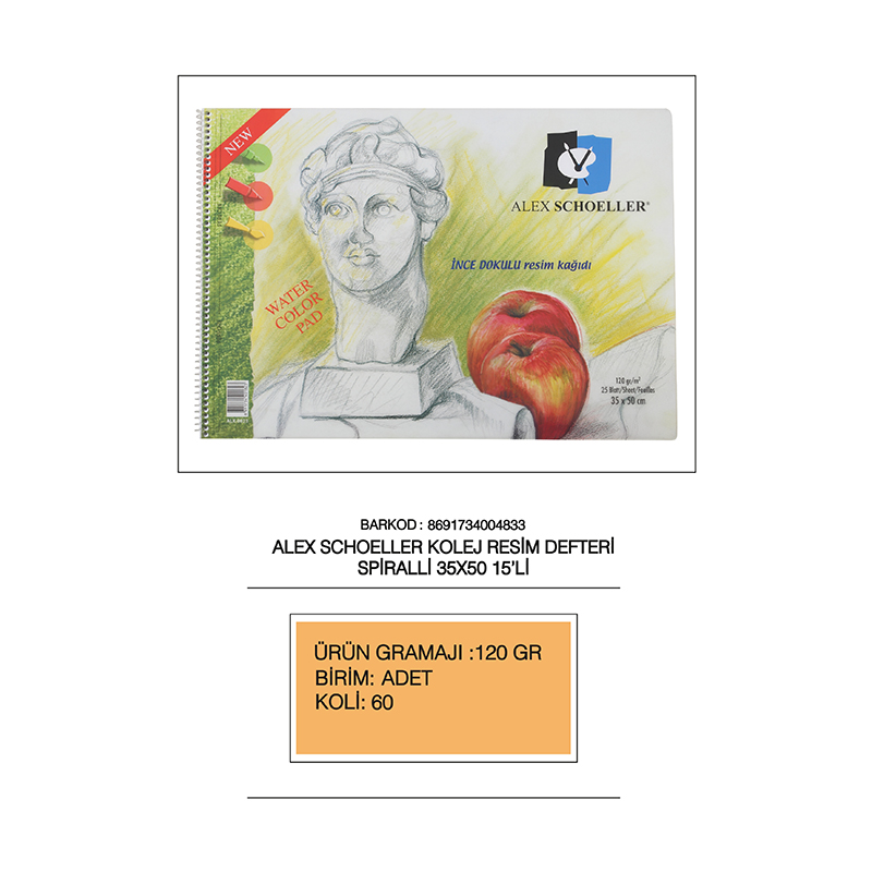 ALEX ALX-833 RESİM DEFTERİ 35X50 SPİRALLİ 120GR 15YP