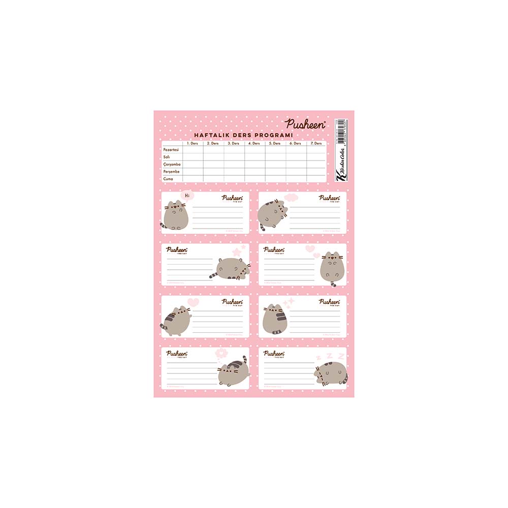 KESKİN 220130-10 ETİKET DERS PROGRAMLI PUSHEEN 3LÜ