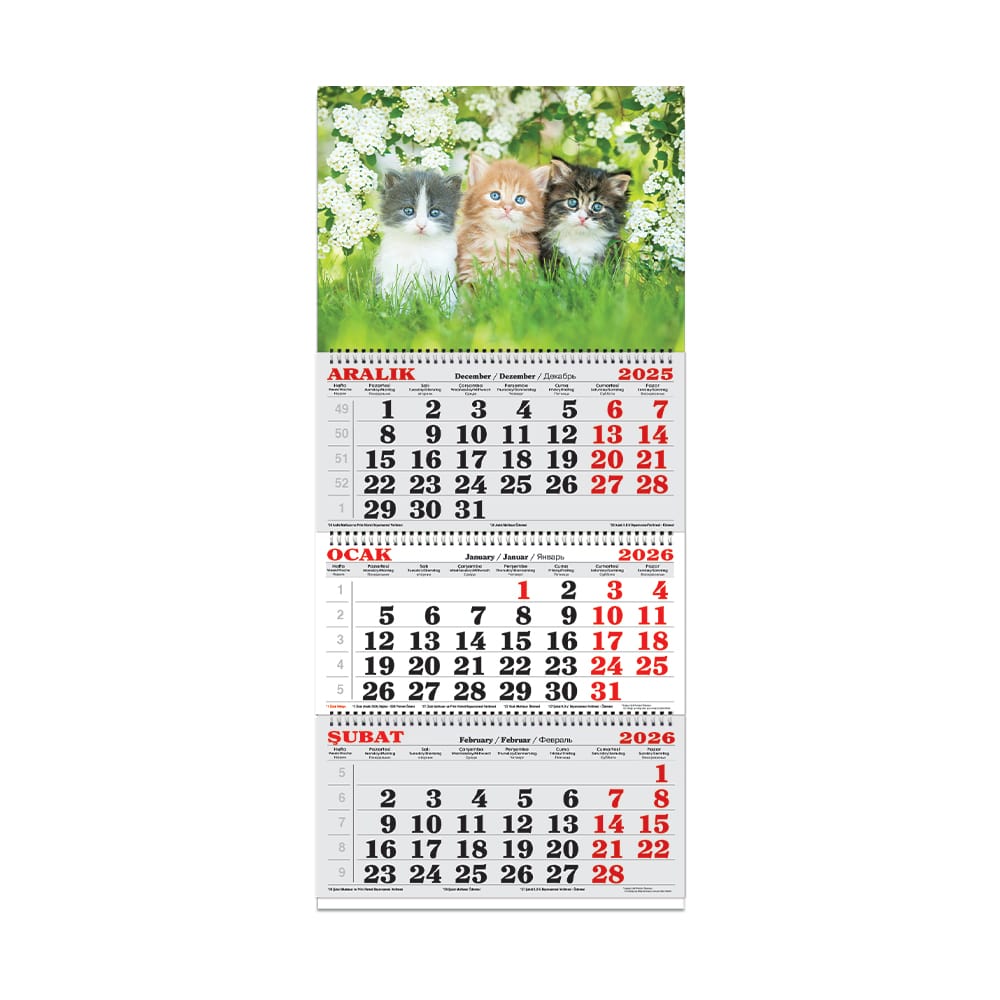 KESKİN 600119-99 2026 3 AYLIK SPR JUMBO DENİZCİ TAKVİM KEDİLER