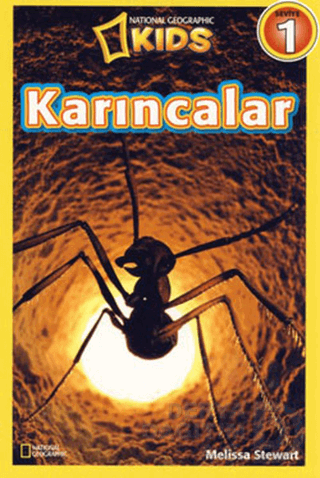 BETA KİDS / KARINCALAR - 1