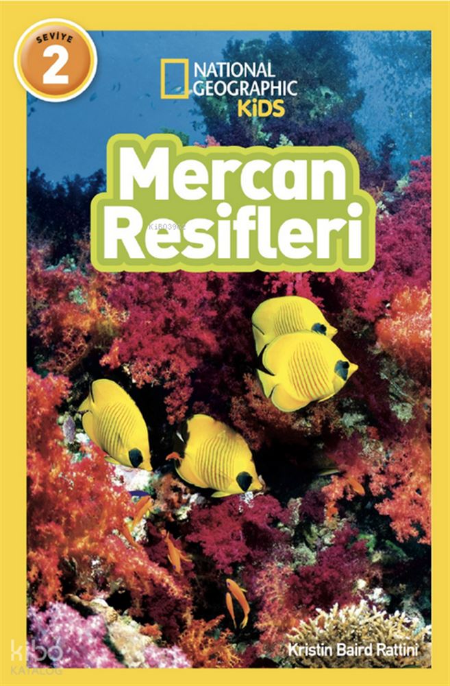 BETA NATIONALG / MERCAN RESİFLERİ - SEVİYE 2