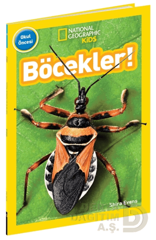 BETA KİDS / OKUL ÖNCESİ - BÖCEKLER