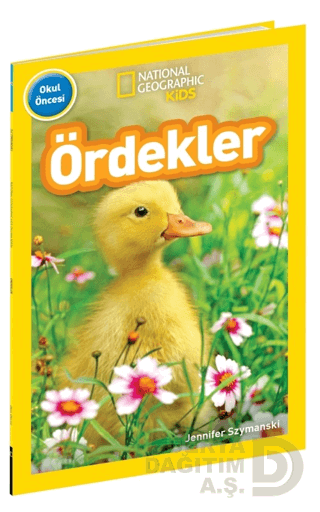 BETA KİDS / OKUL ÖNCESİ - ÖRDEKLER