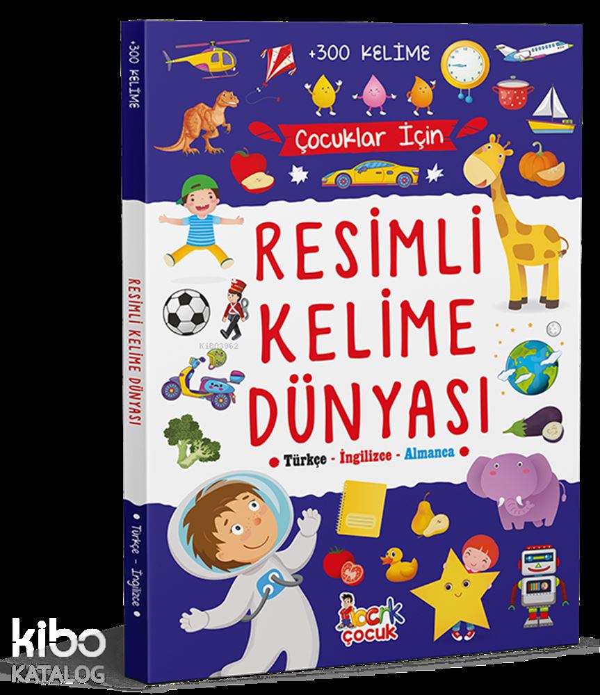 BICIRIK / RESİMLİ KELİME DÜNYASI (DEV BOY)