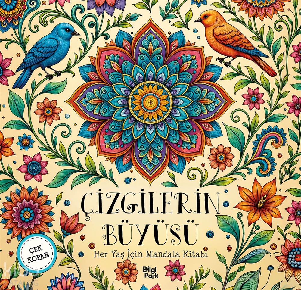 BİLGİPARK / ÇİZGİLERİN BÜYÜSÜ - MANDALA (HERYAŞ)