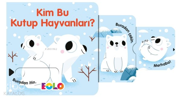 EOLO / KİM BU KUTUP HAYVANLARI