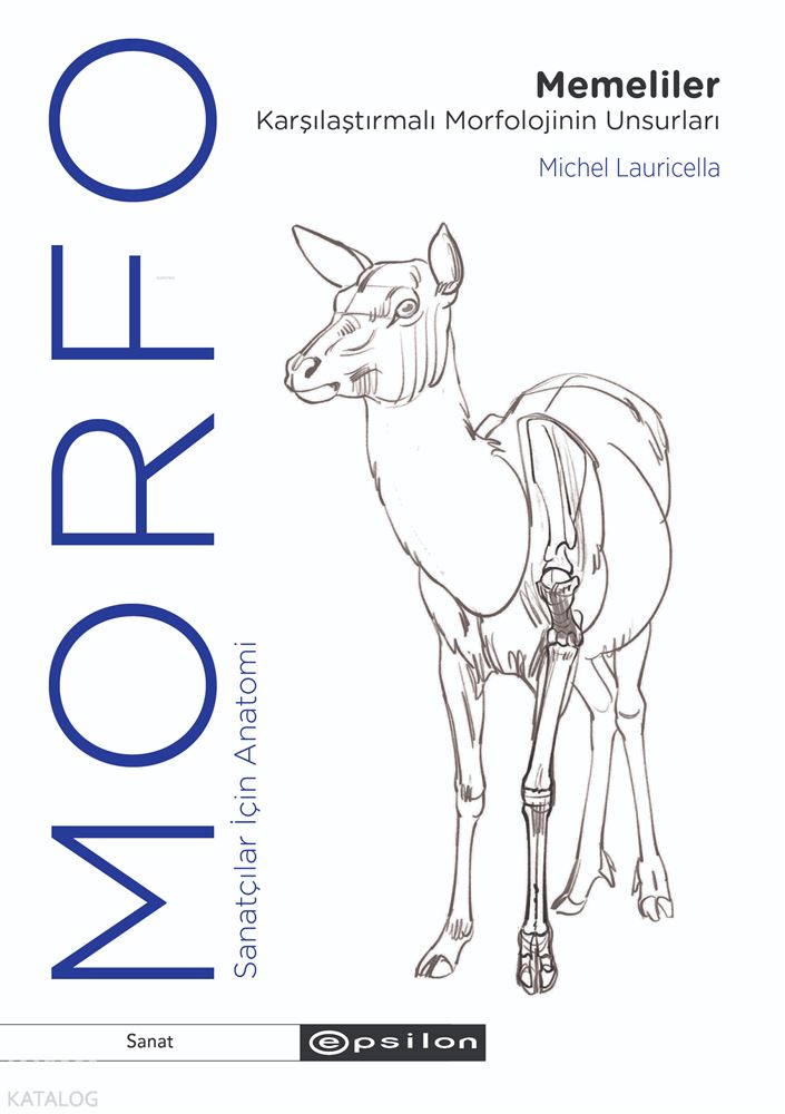 EPSİLON / MORFO - MEMELİLER