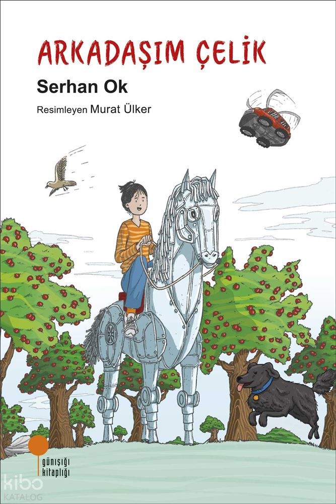 GÜNIŞIĞI / ARKADAŞIM ÇELİK