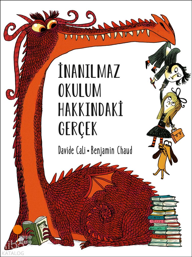 GÜNIŞIĞI / İNANILMAZ OKULUM HAKKINDAKİ GERÇEK