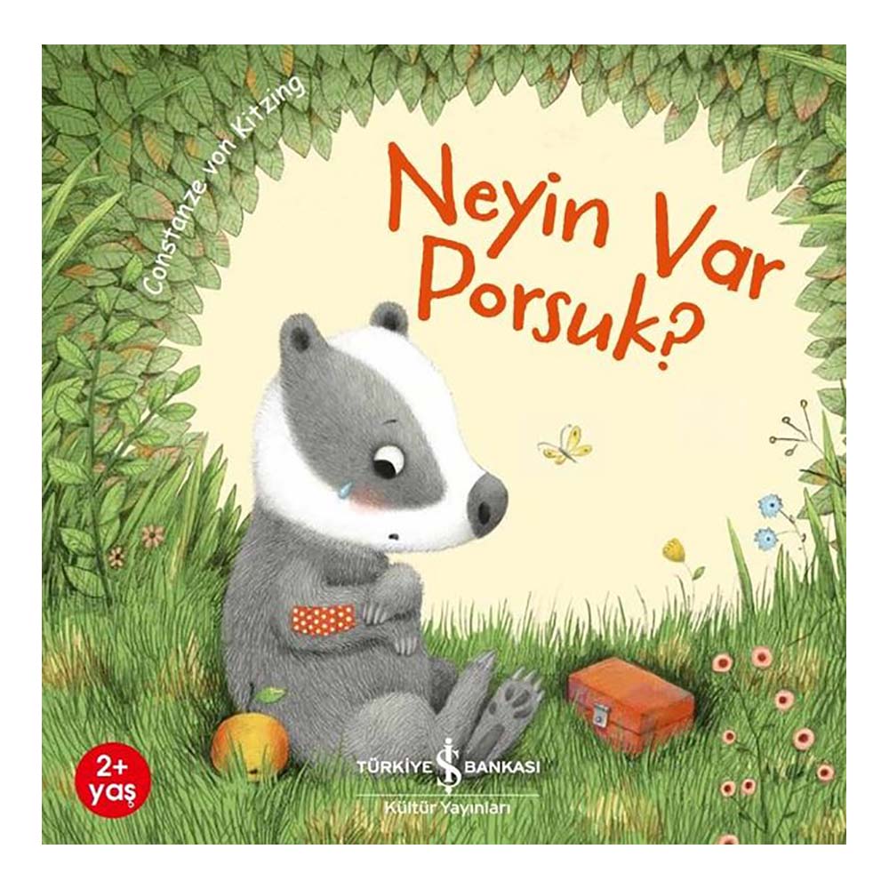 İŞBANKASI / NEYİN VAR PORSUK ?