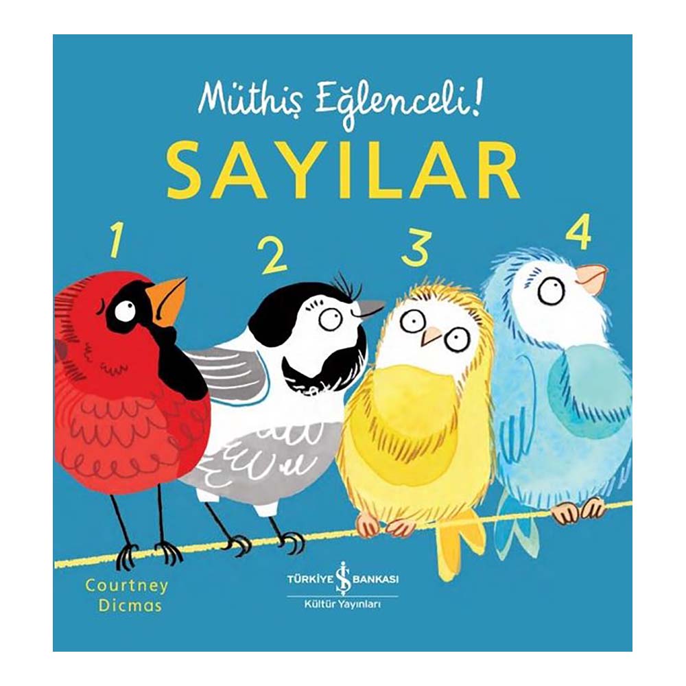 İŞBANKASI / SAYILAR (MÜTHİŞ EĞLENCELİ)