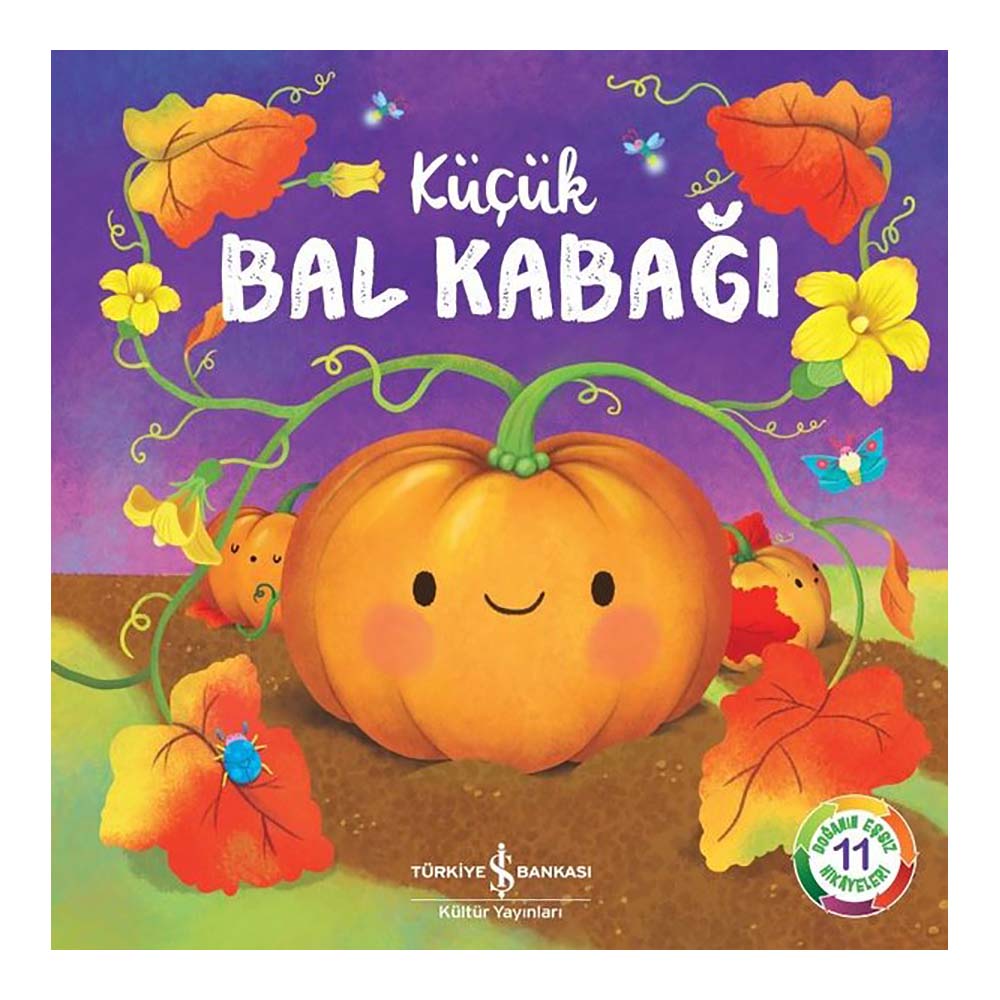 İŞBANKASI / KÜÇÜK BAL KABAĞI