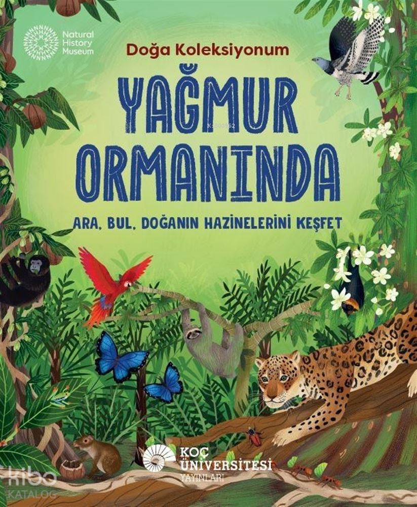 KOÇ / DOĞA KOLEKSİYONUM - YAMUR ORMANINDA