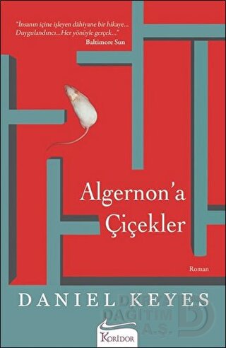 KORİDOR / ALGERNON'A ÇİÇEKLER