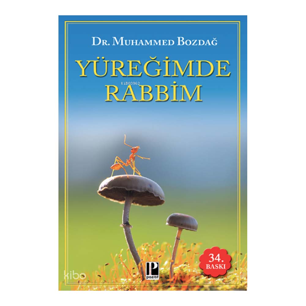 POZİTİF / YÜREĞİMDE RABBİM