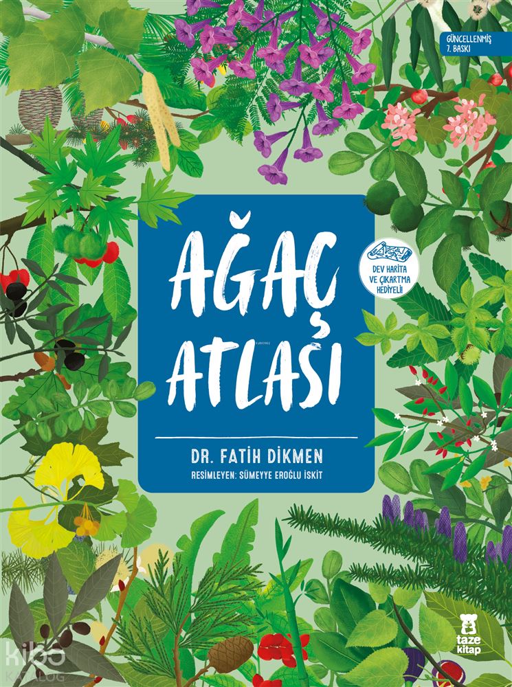 TAZE KİTAP / AĞAÇ ATLASI - CİLTLİ
