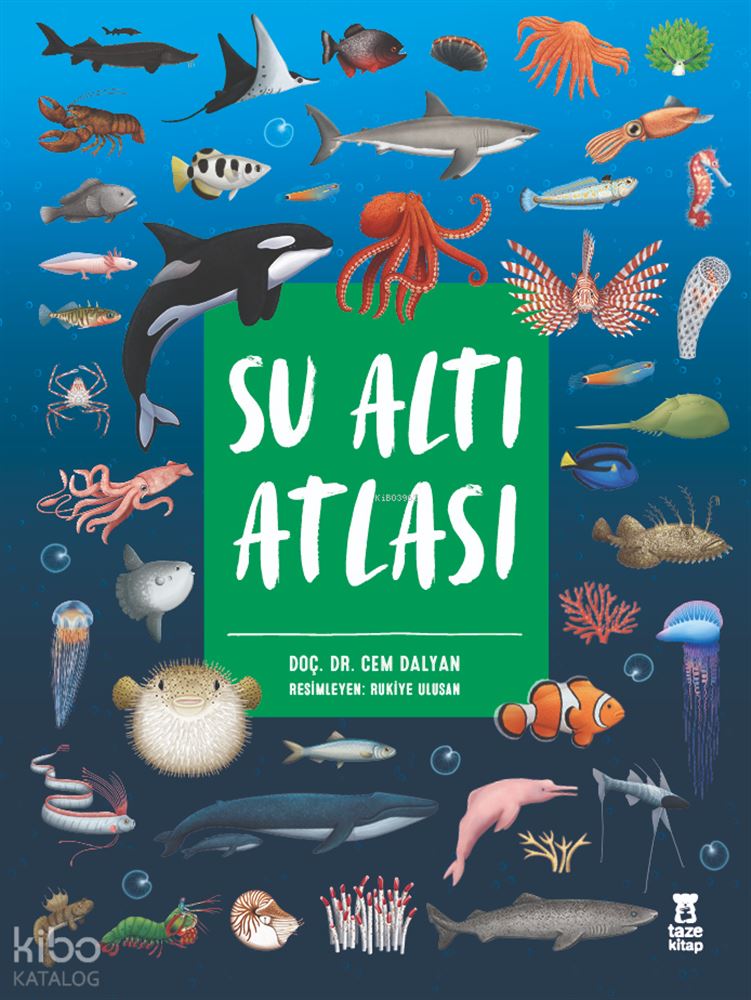TAZE KİTAP / SU ALTI ATLASI - CİLTLİ