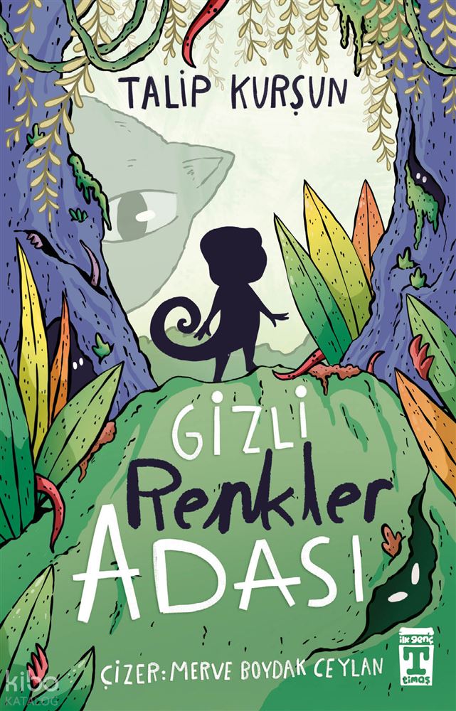 TİMAŞ / GİZLİ RENKLER ADASI