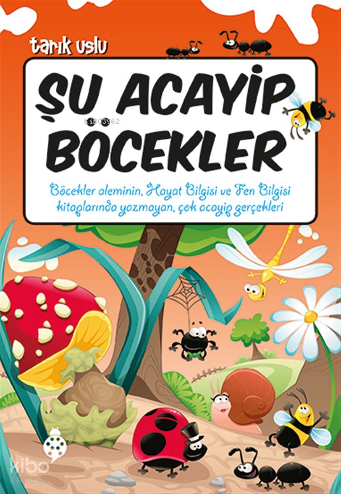 UĞURBÖCEĞİ / ŞU ACAYİP BÖCEKLER