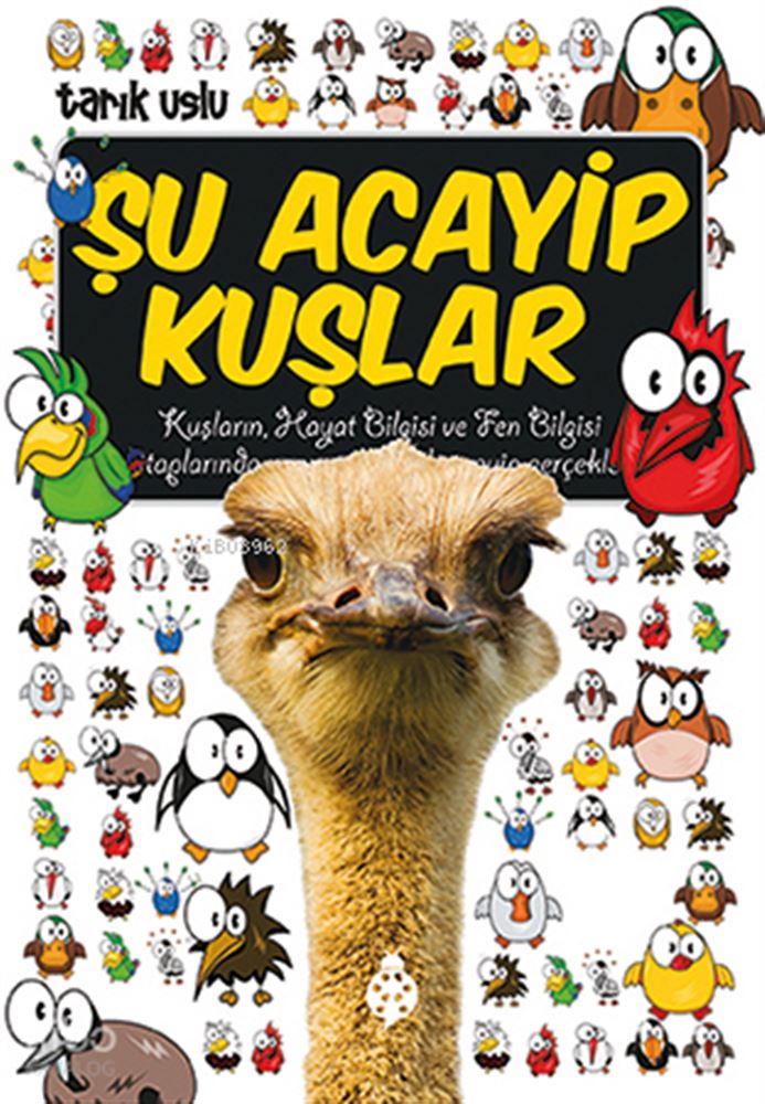UĞURBÖCEĞİ / ŞU ACAYİP KUŞLAR