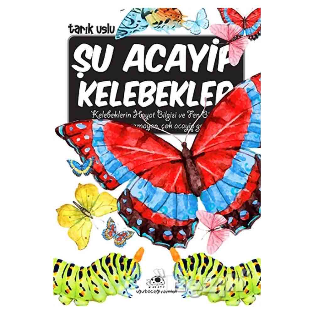 UĞURBÖCEĞİ / ŞU ACAYİP KELEBEKLER