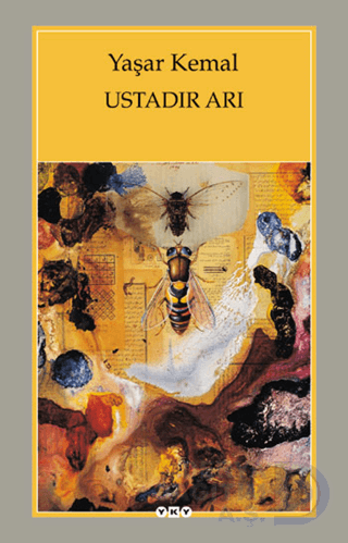 YKY / USTADIR ARI